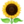 ðŸŒ»
